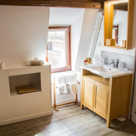 Maison Le Clos Bartholdi 公寓 *