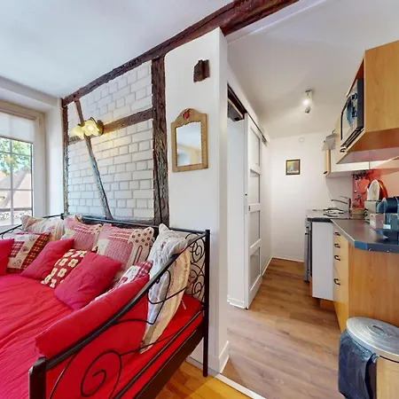 Maison Le Clos Bartholdi 公寓 科尔马